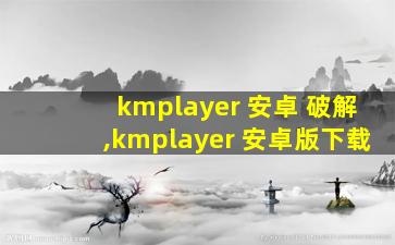 kmplayer 安卓 破解,kmplayer 安卓版下载